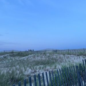 Meet your Posher, Aylin